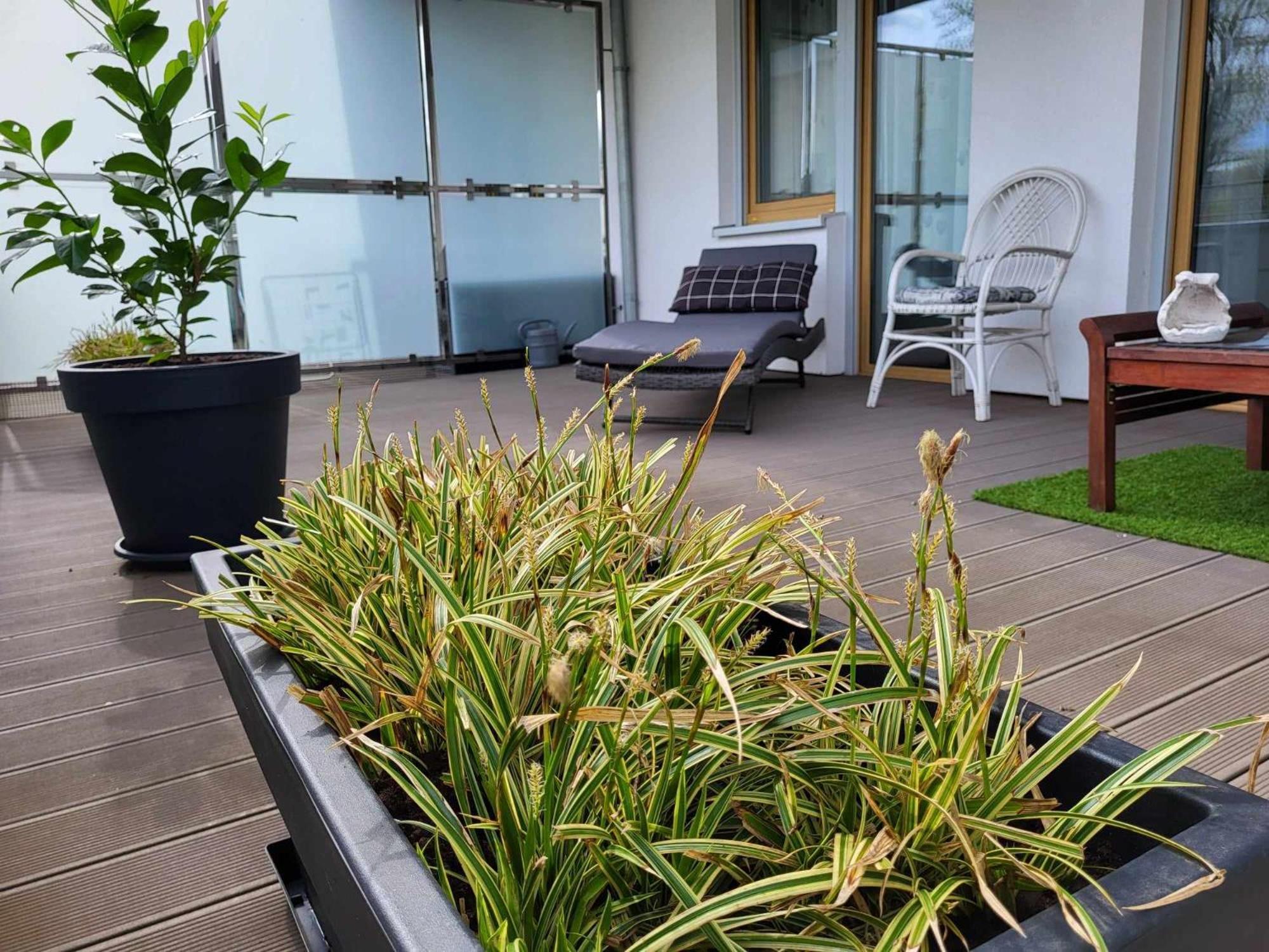 Miodowy Dom Exspanse Apartament 2 Lub 3 Pokoje Z Tarasem I Parkingiem 코워브제크 외부 사진